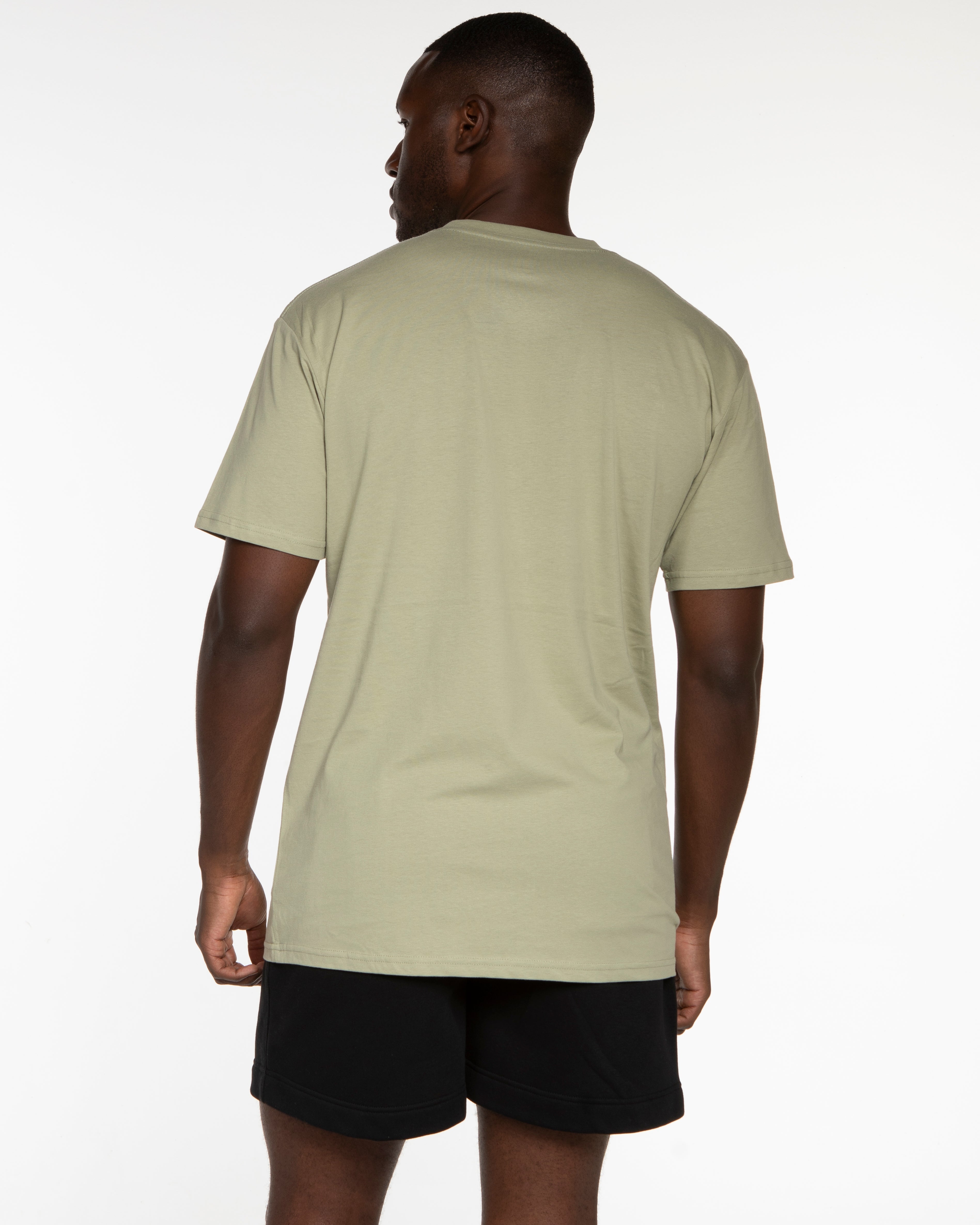The Mens Tee - Pistachio - Palomino Labs - Center Chest & Center Back - Printed - Full Color