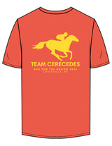 The Mens Tee - Fire - Bodi - Center Chest 2 Diagonal Stripes - Left Sleeve & Back Stacked - Printed - Yellow