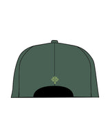 The Dad Hat - Spruce - Goodlife Chiropractic - Center Crown - Embroidered - Green
