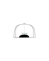 The Dad Hat - White - White House - Center Crown & Back Center - Embroidered - Teal