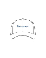 The Dad Hat - White - BlueCarrot - Center Crown - Embroidered - Blue