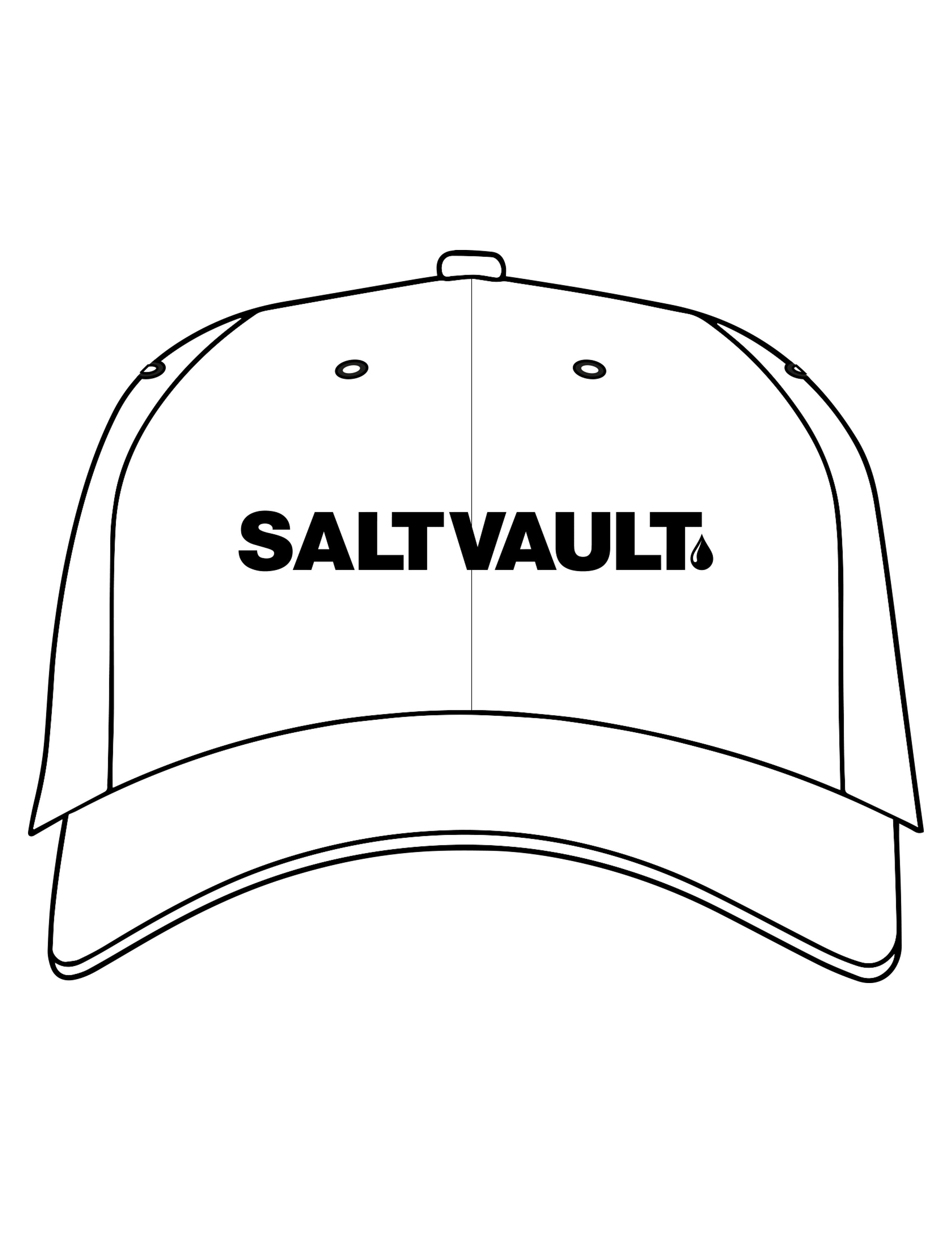 The Dad Hat - White - Saltvault - Center Crown - Embroidered - Black