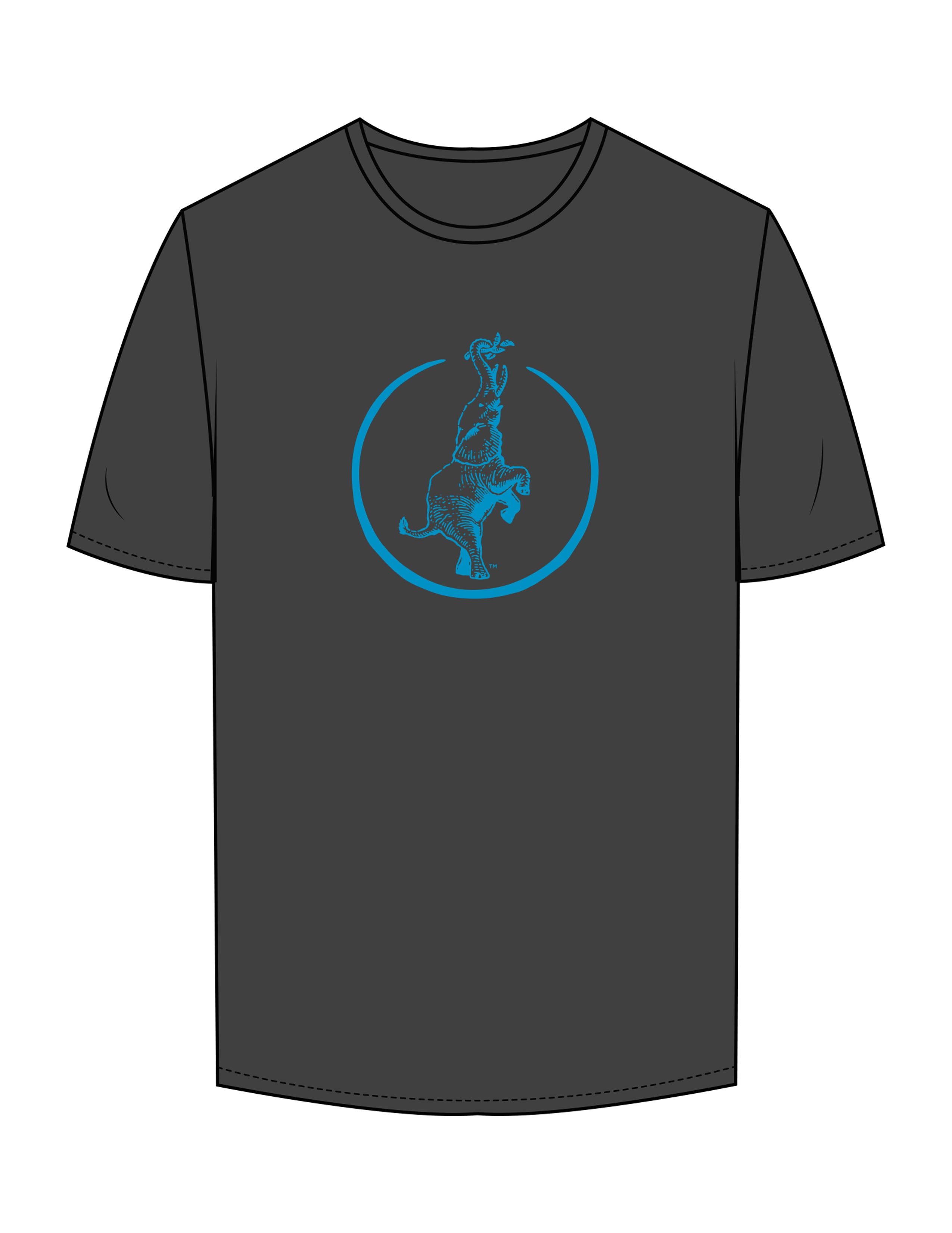 The Mens Tee - Charcoal - Reforming Foundations - Center Chest Round & Back Stacked - Printed - Full Color