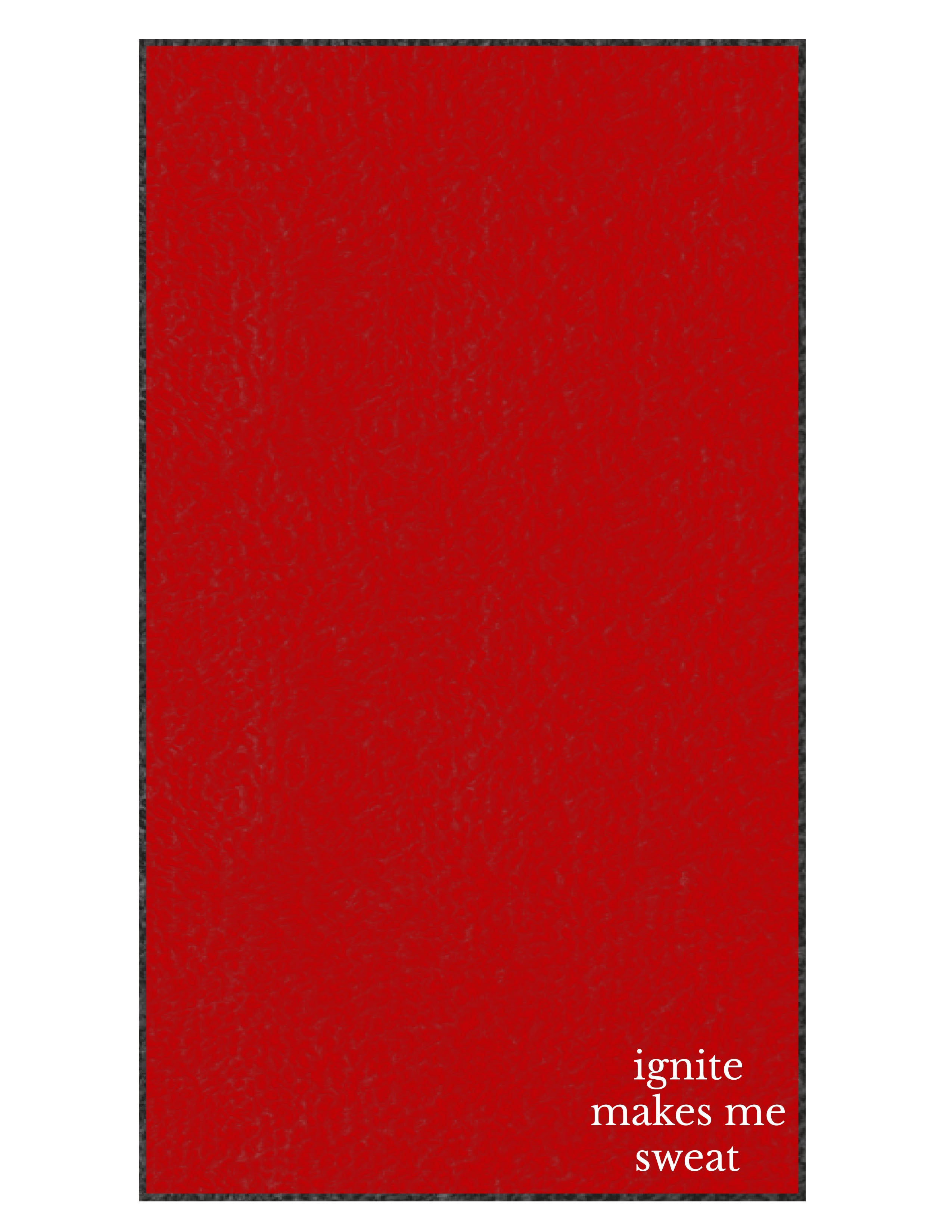The Gym Towel - Red - Ignite Barre & Fitness - Front Bottom Corner - Embroidered - White - The Gym Towel Bag - Black - Center Body - Printed - White
