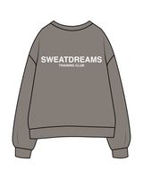 The Womens Crewneck - Washed Gray - SWEATDREAMS - Center Chest "OCEANSIDE" & Back Stacked - Printed - Full Color